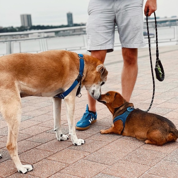 Meet your Posher, Sarah - Picture 4 of 10